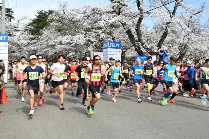 2024桜マラソン